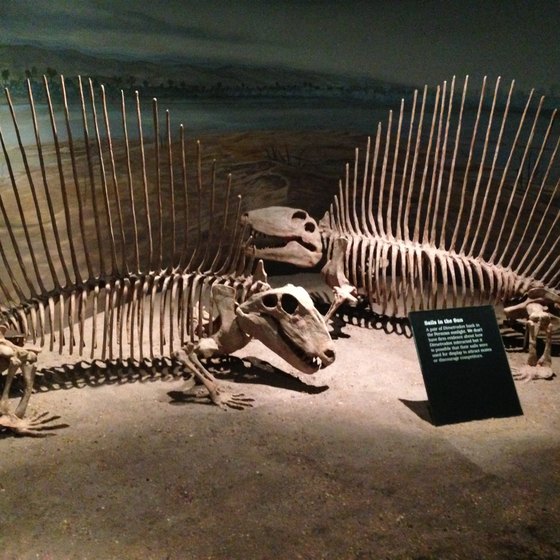 Dinosaur Museums in Ohio