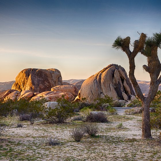 Winter Backpacking in Joshua Tree National Park