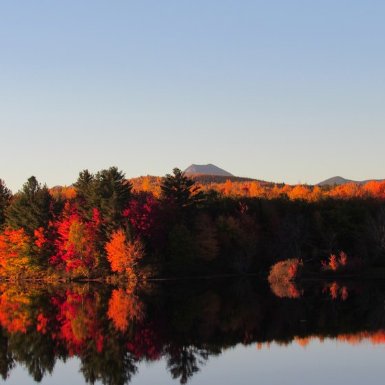 Fall Foliage Bus Tours New England