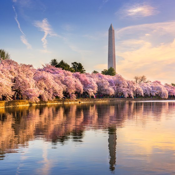 Things to Do in Washington, DC on Saturdays