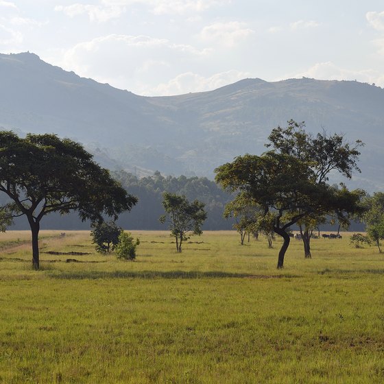 What Is the Climate in Swaziland?