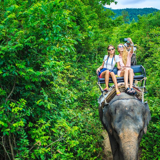 Elephant Riding Vacations