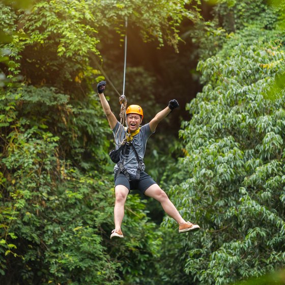 Zip Lining in the Amazon Rainforest