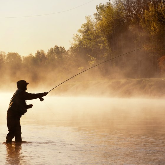 Fishing Hot Spots on the Mississippi River