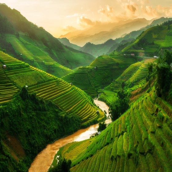 Vietnam: Culture & Art