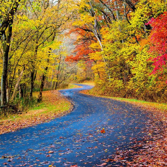 Fall Foliage Tours in Ohio