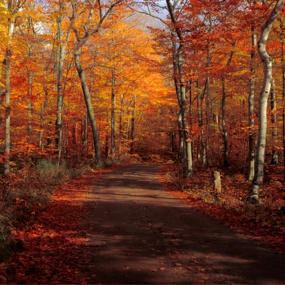 How to See Fall Colors in Door County