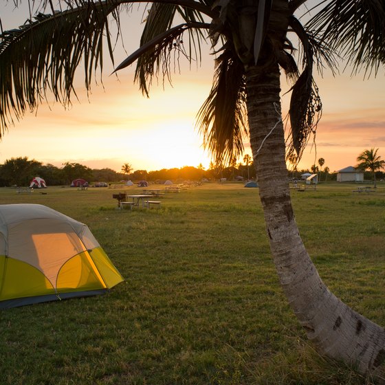 Winter Camping in Florida