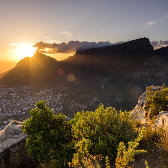 Quick Cultural Facts on South Africa