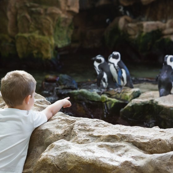 Zoos In Virginia