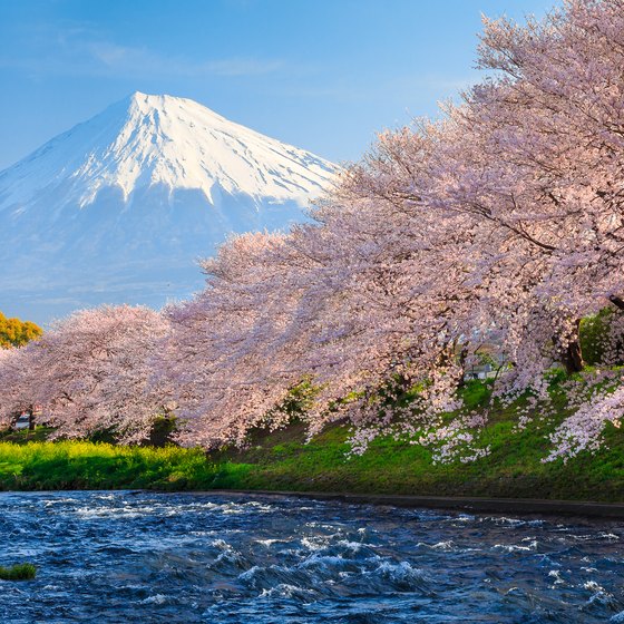 Famous Places or Landmarks to Visit While in Japan