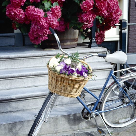 A bicycle and flowers: two common sights in the Netherlands.