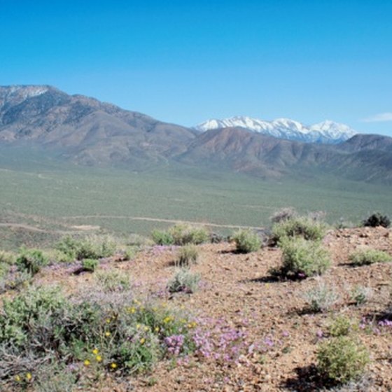 View of the snow-capped Sierra Mountains from Death Valley.