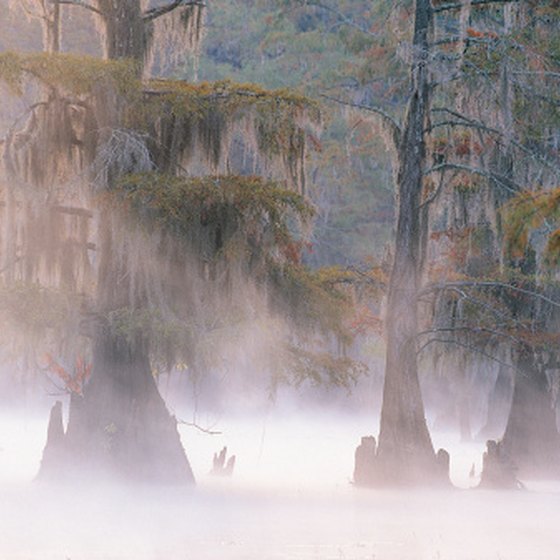 Caddo Lake covers 26,810 acres.