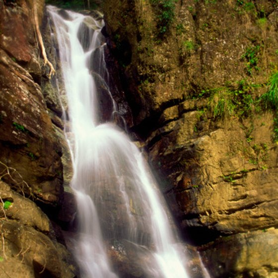 The El Yunque rain forest is Puerto Rico's rainiest area.