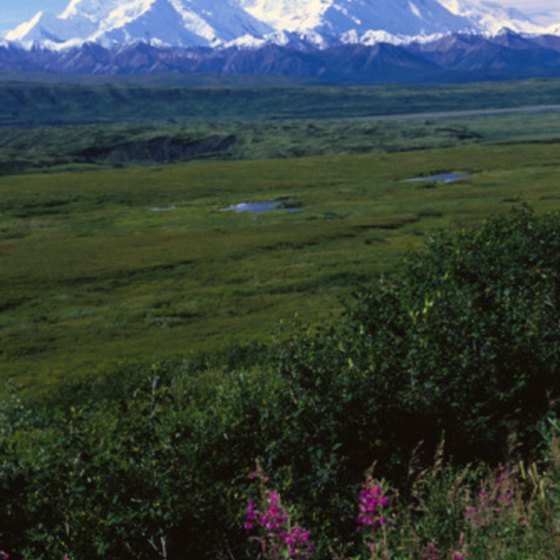 Mount McKinley, in Denali National Park, is a popular stop on Alaskan rail trips.