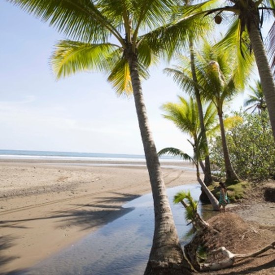Costa Rica offers thick forests and sandy beaches.