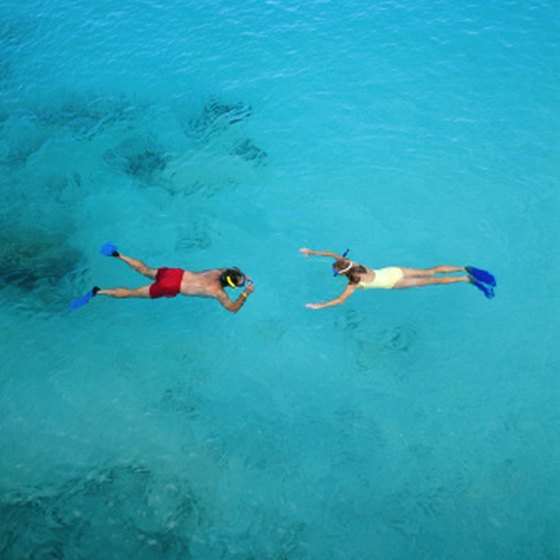 Underwater reefs and seagrass beds provide ample snorkeling in the Riviera Maya.