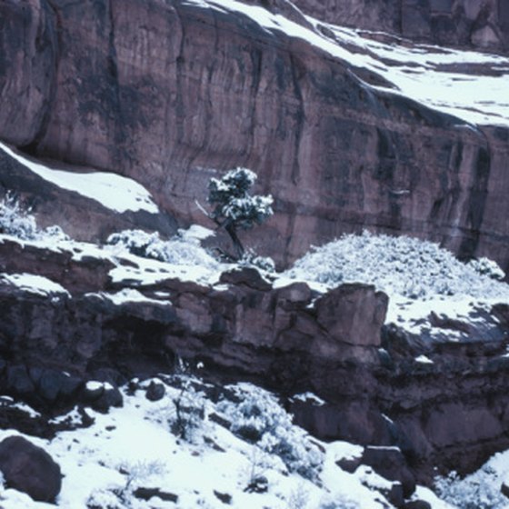 December visitors have a good chance of seeing the Grand Canyon dusted in snow.