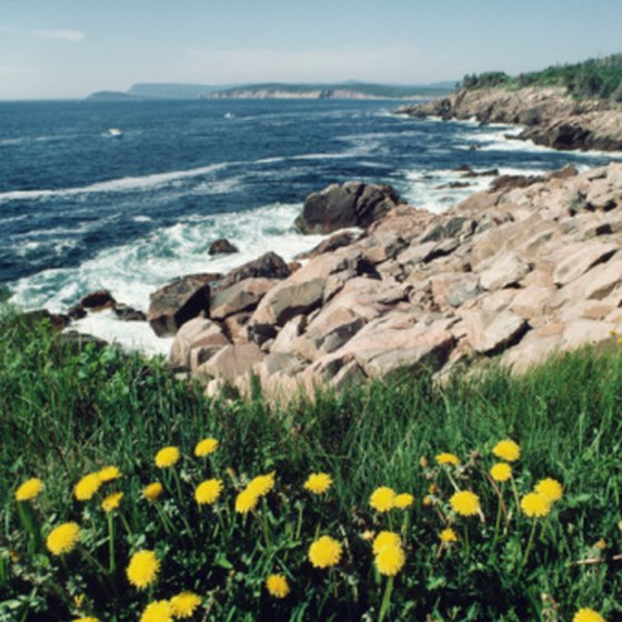 Cruisers to Canada's eastern provinces can explore Nova Scotia's Cabot Trail among many other port excursions.