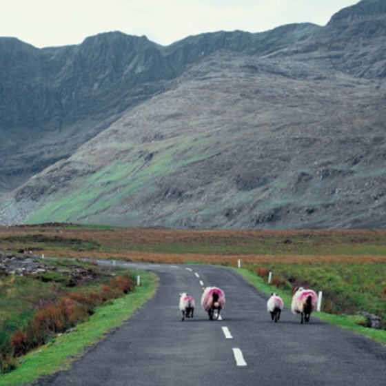 Many of Ireland's roads are narrow and winding.