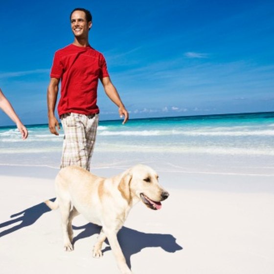 Orange County has dog-frendly beaches.