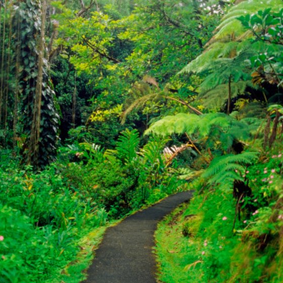 Akaka Falls State Park is a draw on the Big Island.