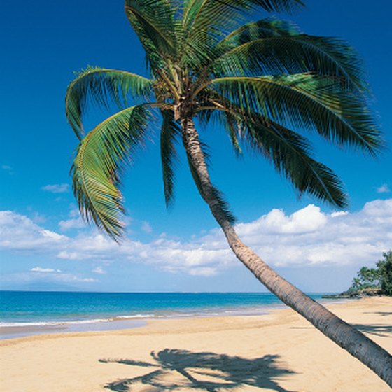Kamaole offers three spectacular beaches and excellet angling opportunities.