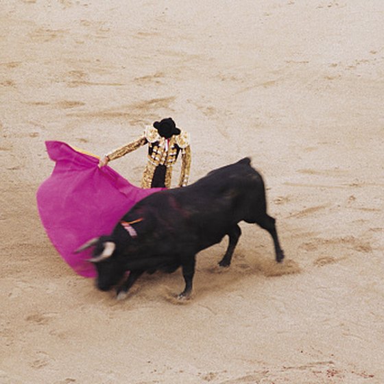 Visitors to Merida, Mexico, can see live bull fighting for themselves.