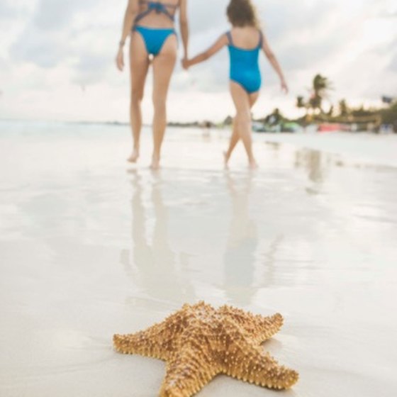 The white sand beaches, warm waters and tropical surrounds make Playa del Carmen a family-friendly destination.