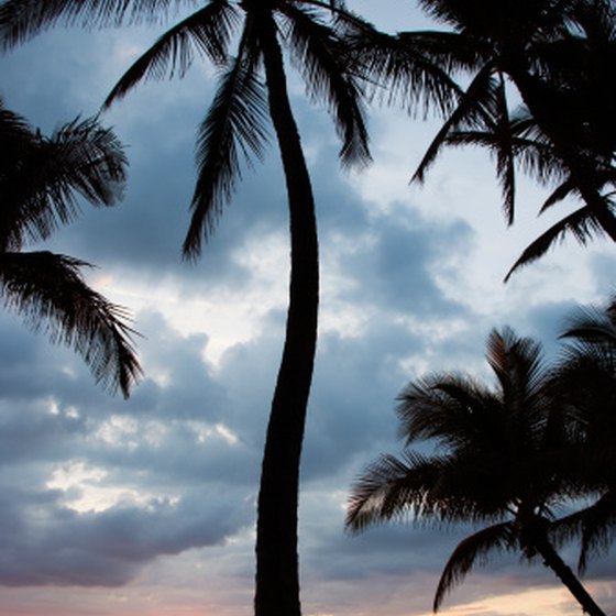 Famous for sun, beaches and Aloha spirit, Maui is also home to activities that are fun for the whole family.