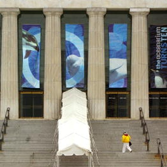 Shedd Aquarium is one of the attractions for children near Union Station.
