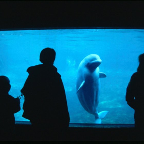 Visit an indoor aquarium in Southern California.