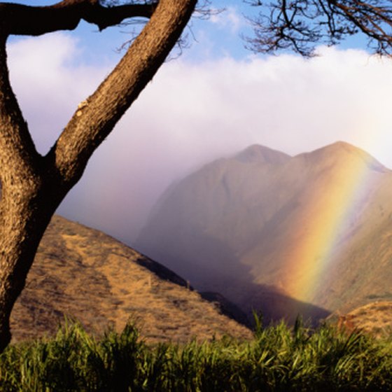 Most of Maui's dramatic landforms have volcanic origins.