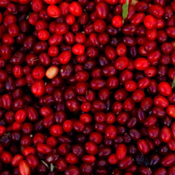 Bala, Ontario, is one of Canada's leading cranberry-producing areas.