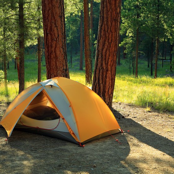 Free tent camping near me sale