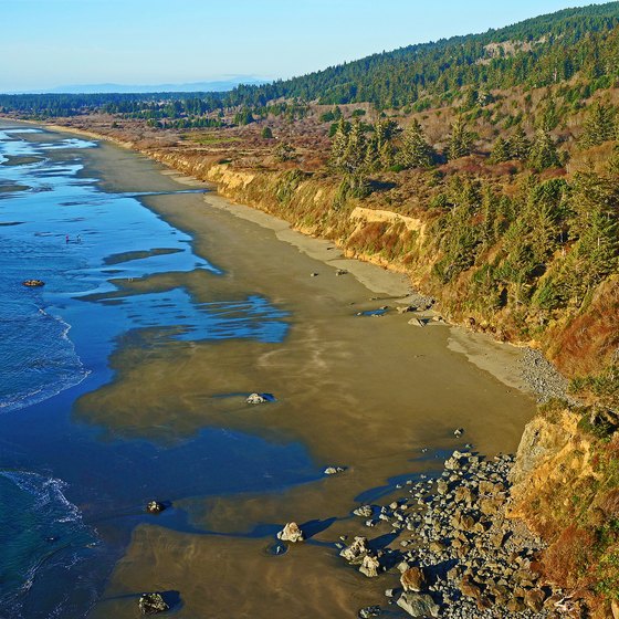 Beaches in Redwood National Park