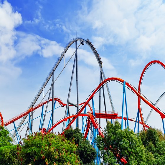 Amusement Parks in North Carolina or South Carolina With Roller Coasters