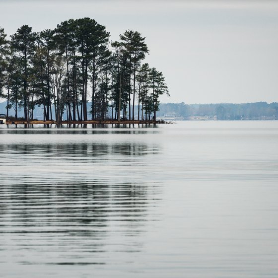 Booking a Cabin in Lake Murray State Park