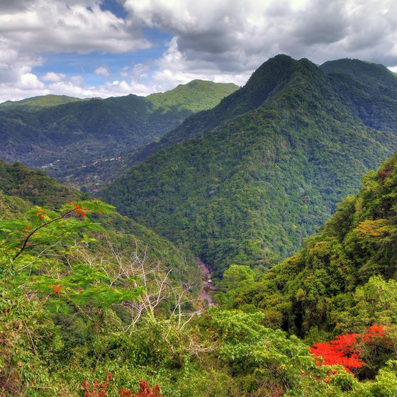 Top-Rated Places for Hiking in Puerto Rico