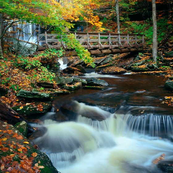Places to Stay Near Ricketts Glen State Park in Pennsylvania