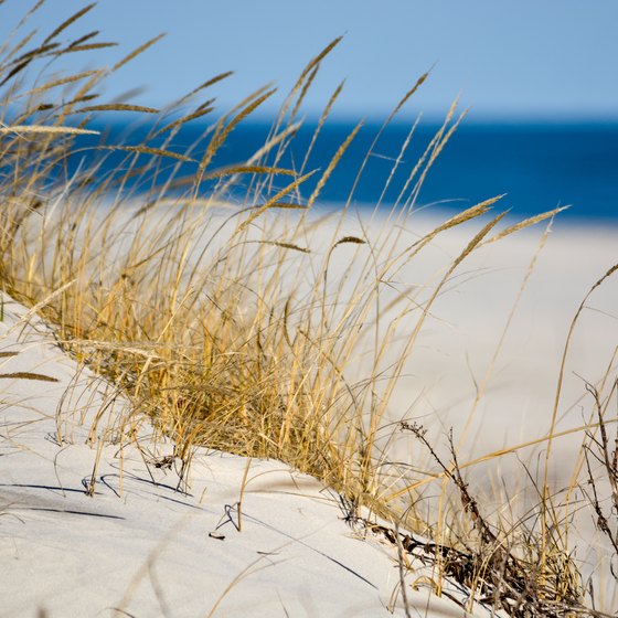 Beaches in Avalon, New Jersey