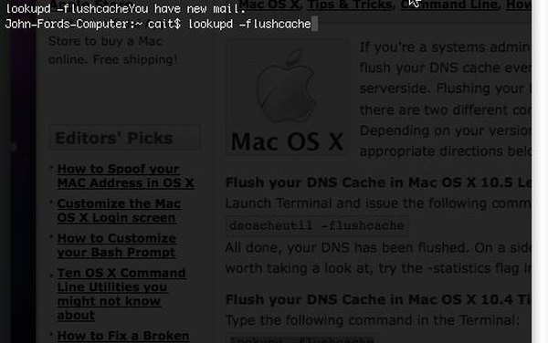 Usa la aplicación Terminal de Apple para borrar la caché DNS.