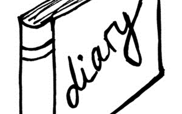 Cómo hacer un diario en línea para adolescentes (En 5 Pasos)