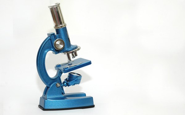 Microscopio simple y compuesto: diferencias