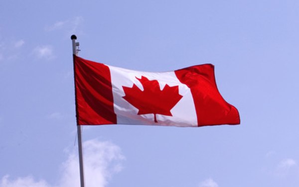 Cómo renovar una tarjeta de residente permanente en Canadá