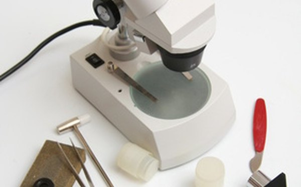 Cuáles son los tipos de microscopios compuestos