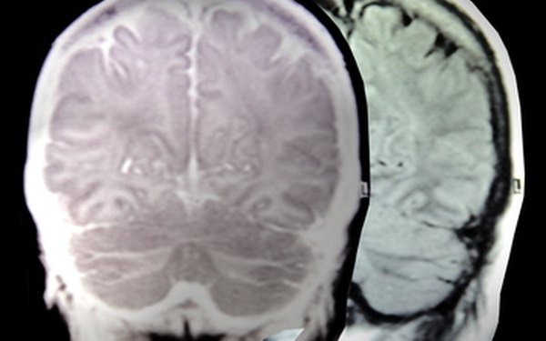 La psicología es una disciplina científica relacionada con la función mental y la conducta.