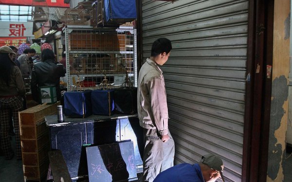 Cómo crear una cortina metálica enrollable en
