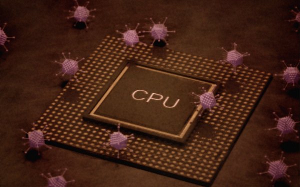 Funciones del procesador del  CPU 